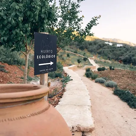 Eco Cueva Del Gato Hotell Benaoján