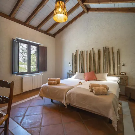 Eco Cueva Del Gato Hotell