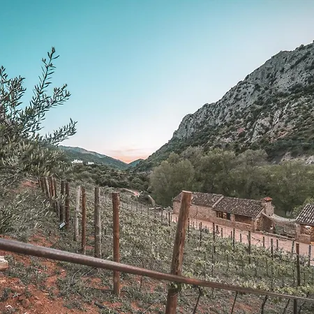 Hotell Eco Cueva Del Gato