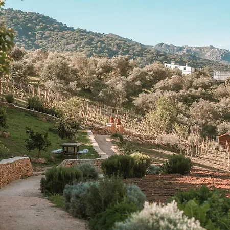 Hotell Eco Cueva Del Gato